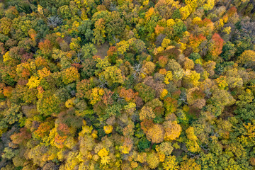 Aerial landscape from drone on autumn forest