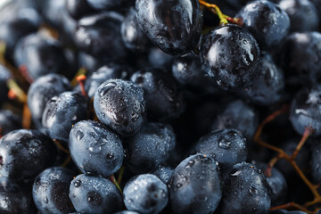 Juicy fruits of black ripe grapes close-up as texture.