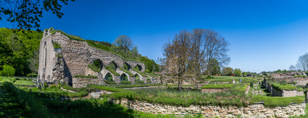 Ruins of Alvastra monastery from the middle ages in Ödeshög, Östergötland, Sweden