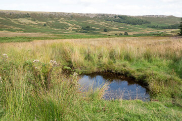 Water wells up at a natural spring in the Peak District, UK 
