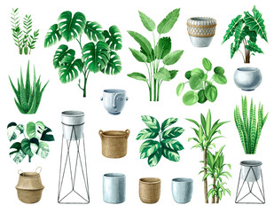 Watercolor indoor potted plants. Houseplants isolated. Trendy hygge style, bohemian style, urban jungle decor. Hand drawn. Set collection. Green and beige colors. Crochet jute baskets.