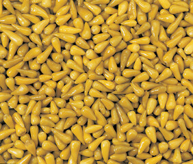 Marinated chili peppers