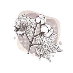 Beautiful sketch card with cotton flower template for fabric design. Floral botanical. Pastel soft. Hand drawn vector set. Vintage, retro geometric art drawing
