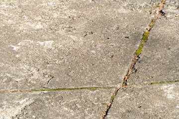 Obraz premium Old worn and cracked asphalt with cracks. Road surface texture background. cracks in the asphalt in the city