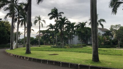 sunset in the park