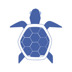 Obraz premium Blue turtle