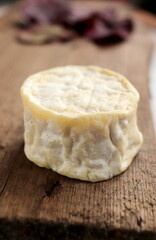 Cheese collection, soft goat French cheese close up selective focus