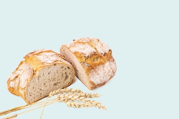 Beautiful view of cut loaf white bread and wheat ears isolated on blue background.  Food concept. Health concept. 