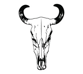 Buffalo skull - hand drawn vector illustration isolated on white background