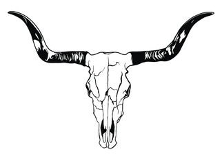 Buffalo skull - hand drawn vector illustration isolated on white background