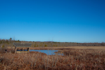 View over part of the Cherry river swamp and its old abandoned hut
in Magog, Quebec, Canada
