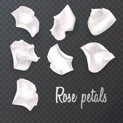 White rose petals on a transparent background and realistic rose, vector illustration