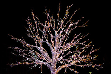 Illuminated artificial tree decorated for the New year holiday in the city at night