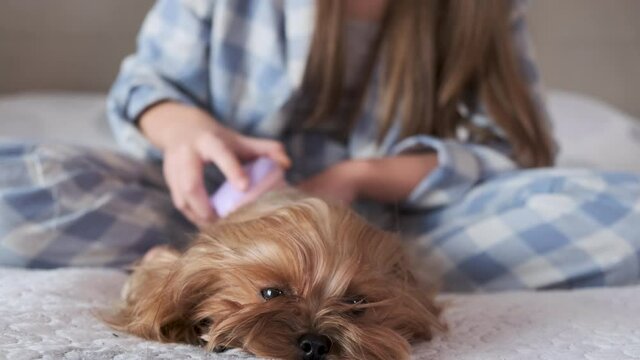 girl with a puppy