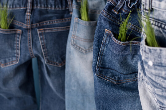 Responsible consumption clothing. from the pockets of jeans sprouts plants