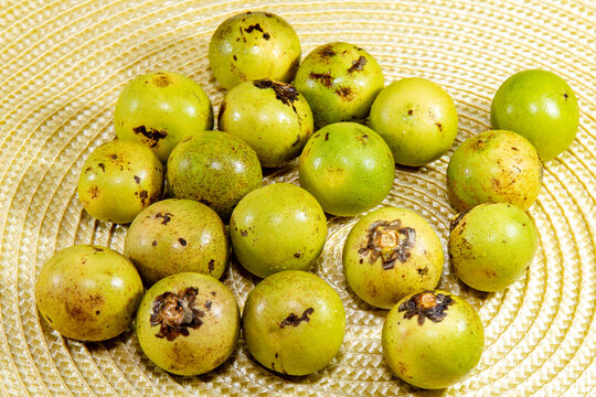 Mature Macauba Fruit (Acrocomia aculeata) on rustic surface and close-up