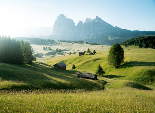 Dolomites mountain landscape at Alpe di Siusi with green meadows during sunrise in summer, South Tyrol, Italy