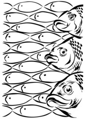 Ink art black drawing of fish on white background. Silhouette isolated.