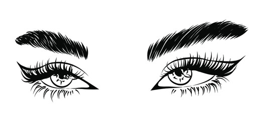 Hand-drawn woman's sexy makeup look with perfectly perfectly shaped eyebrows and extra full lashes. Idea for business visit card, typography vector.Perfect salon look	