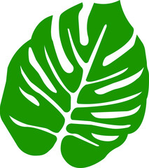 monstera