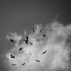 The witch sitting on the broom flyes through clouds up above the gray transparent background. Old hag surrounded by bats isolated on the semi-transparent backdrop. Halloween vector illustration.