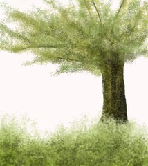 樹の風景