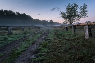 Ein mystisch anmutender Weg zur blauen Stunde auf dem Pestruper Gräberfeld bei Wildeshausen