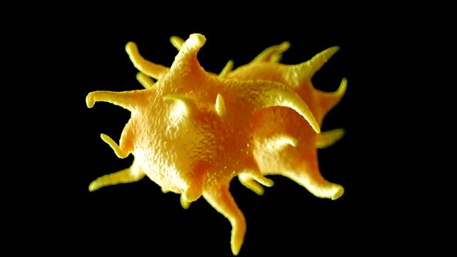 Platelet and thrombocyte anatomy concept and activated platelets isolated on black background