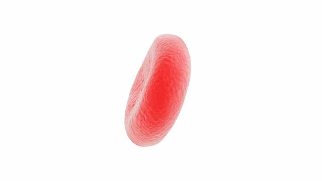 Red blood cell 3d illustration of single cell on white background