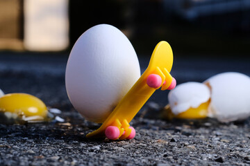 Egg Skateboard Metaphor