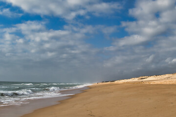 Fototapeta na wymiar Lonely beach with sun-lit dunes under a cloudy sky.