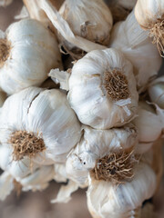 Bunch of garlic heads of old harvest. Close-up