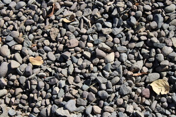 textura natural de piedra, piedra con hojas