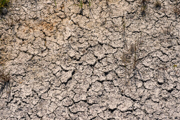 Dry cracked soil in a field during drought. Global warming problem. Ecology issue. Earth dying concept. Effect of water shortage on agriculture industry.