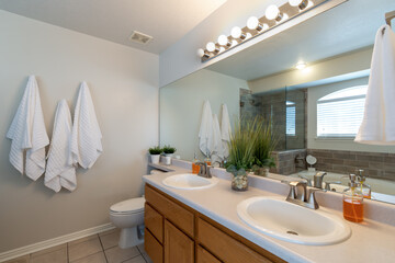 Real Estate interior design decor of modern bathroom for home buying market.