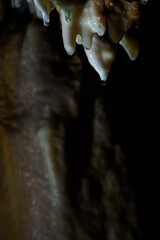 Detail of stalactites in a cave on the ceiling.