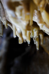 Detail of stalactites in a cave on the ceiling.