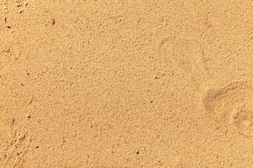 Sand texture. Sandy beach for background. Top view. Natural sand stone texture background. sand on the beach as background. Wavy sand background for summer designs