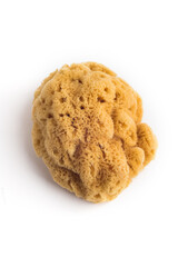 Natural Bath Sponge