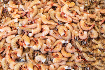 fresh Seafood, shrimps on the seafood market counter