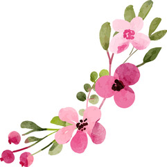 Watercolor Floral Ornament