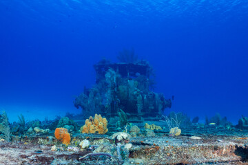 Plakat A shot of a sunken shipwreck in the Caribbean sea. The Doc Polson lies in the sand on the west coast of Grand Cayman and this pic is taken from the bow toward the pilot house