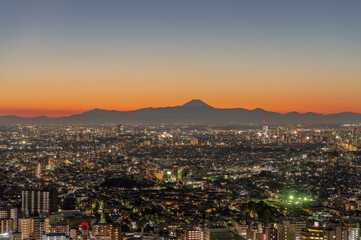 東京都渋谷区恵比寿から見た夕方の東京の都市景観