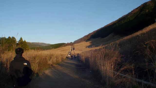 People walking in a susuki Chinese silver grass field in Hakone, Japan