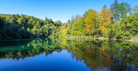Fototapeta na wymiar Trees reflecting on the calm waters of Plitvice Lakes Croatia