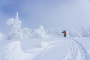山スキー　八甲田山