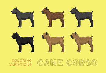 Dog Cane Corso Coloring Variations Cartoon Vector Illustration