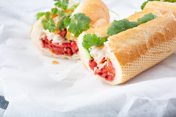 A view of a vegan banh mi sandwich.
