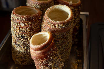 A view of several kurtoscalacs.