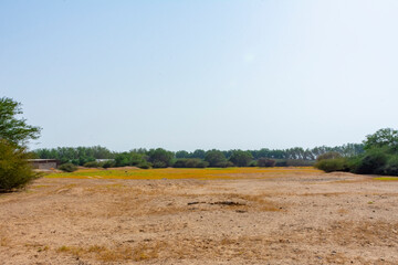 Fototapeta premium Landscape